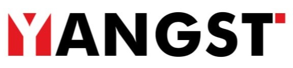 yangst industry